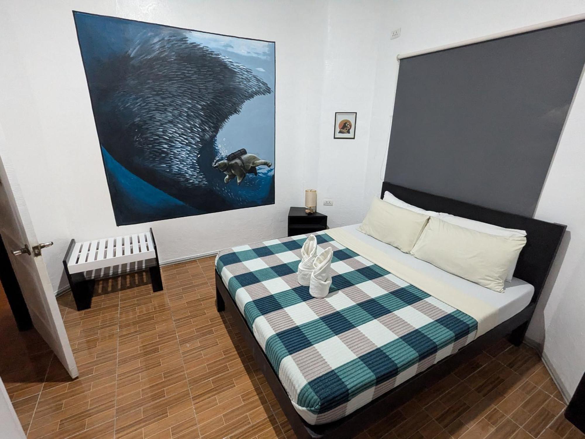 Crazy Bears Hostel موالبوال المظهر الخارجي الصورة
