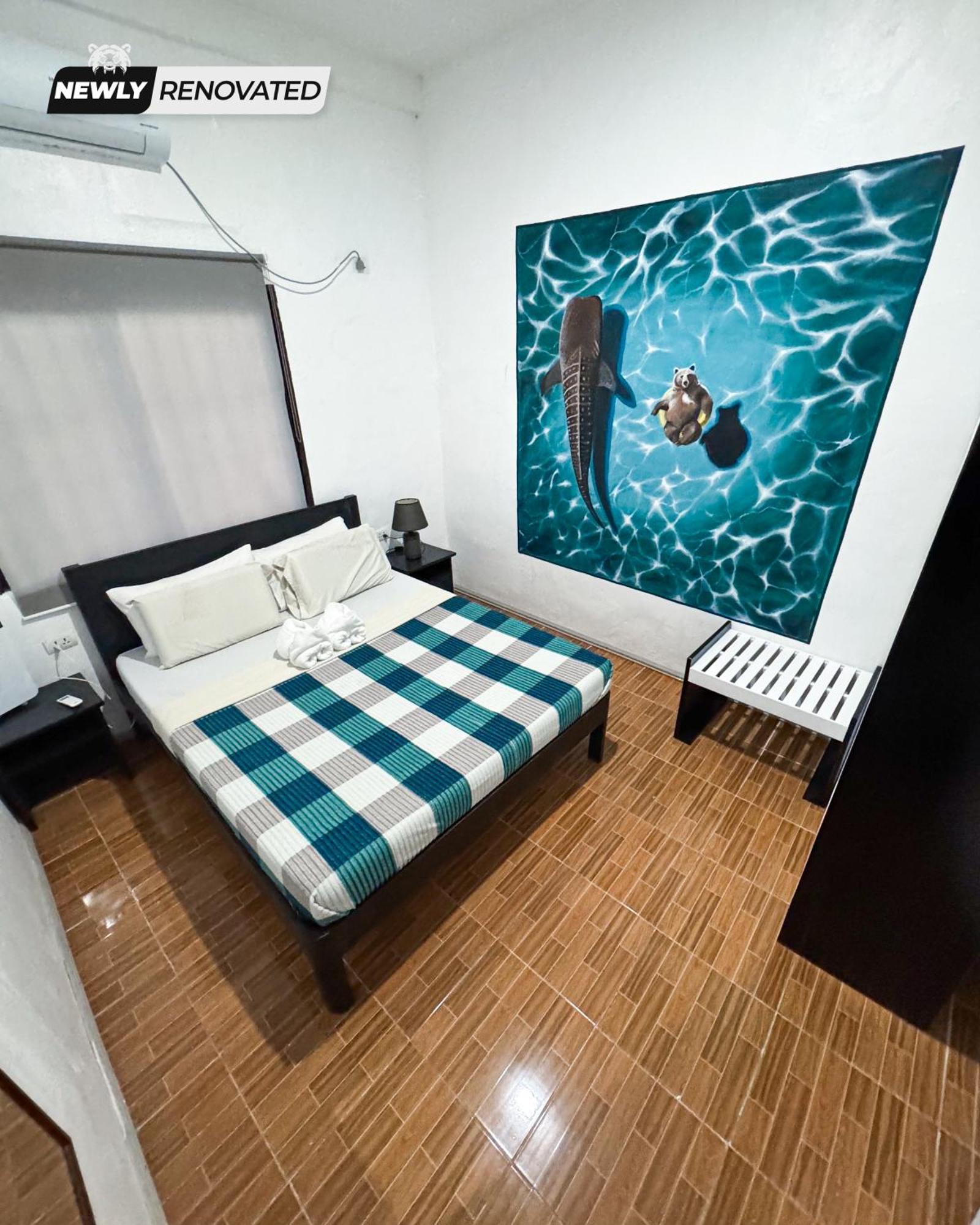 Crazy Bears Hostel موالبوال المظهر الخارجي الصورة