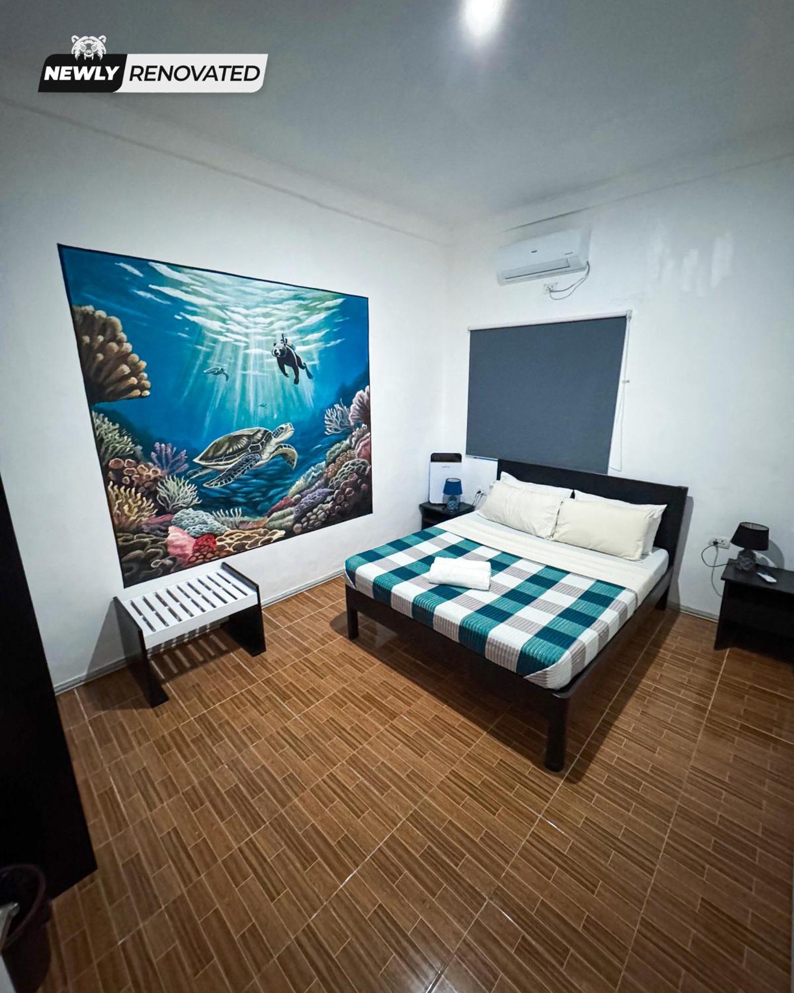 Crazy Bears Hostel موالبوال المظهر الخارجي الصورة