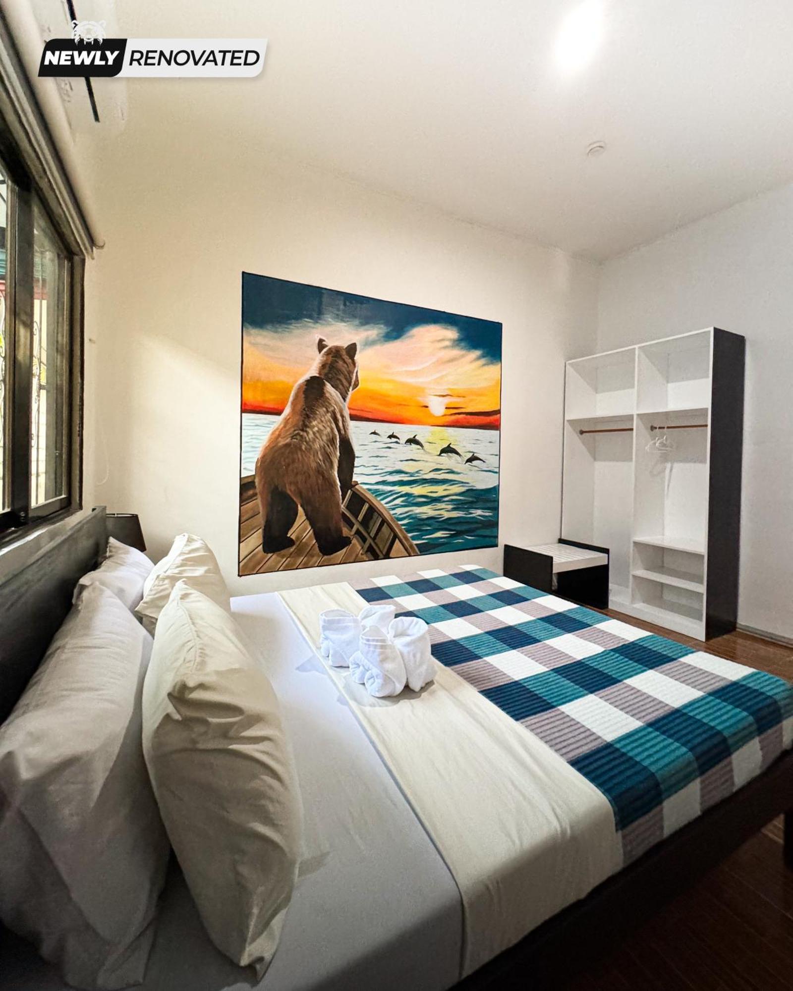 Crazy Bears Hostel موالبوال المظهر الخارجي الصورة