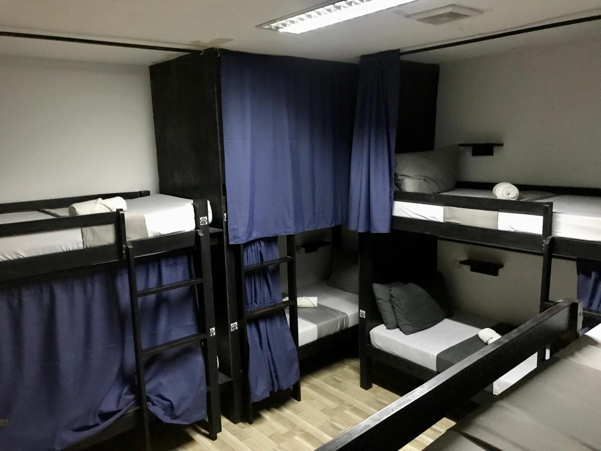 Crazy Bears Hostel موالبوال المظهر الخارجي الصورة