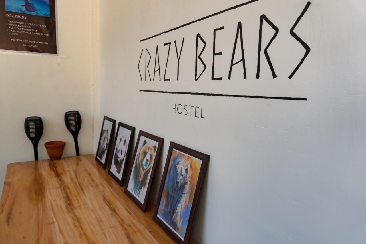 Crazy Bears Hostel موالبوال المظهر الخارجي الصورة
