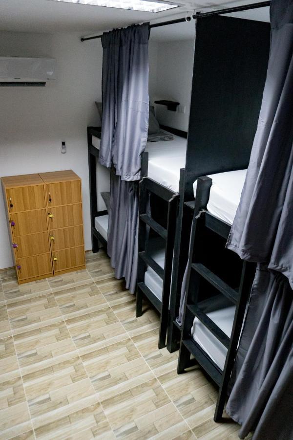 Crazy Bears Hostel موالبوال المظهر الخارجي الصورة