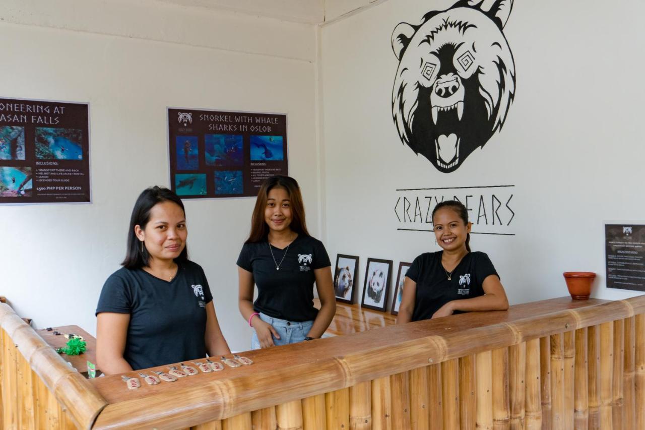 Crazy Bears Hostel موالبوال المظهر الخارجي الصورة